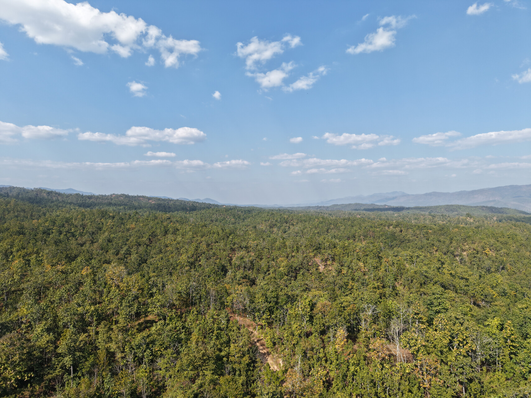 DJI_20250111144300_0063_D