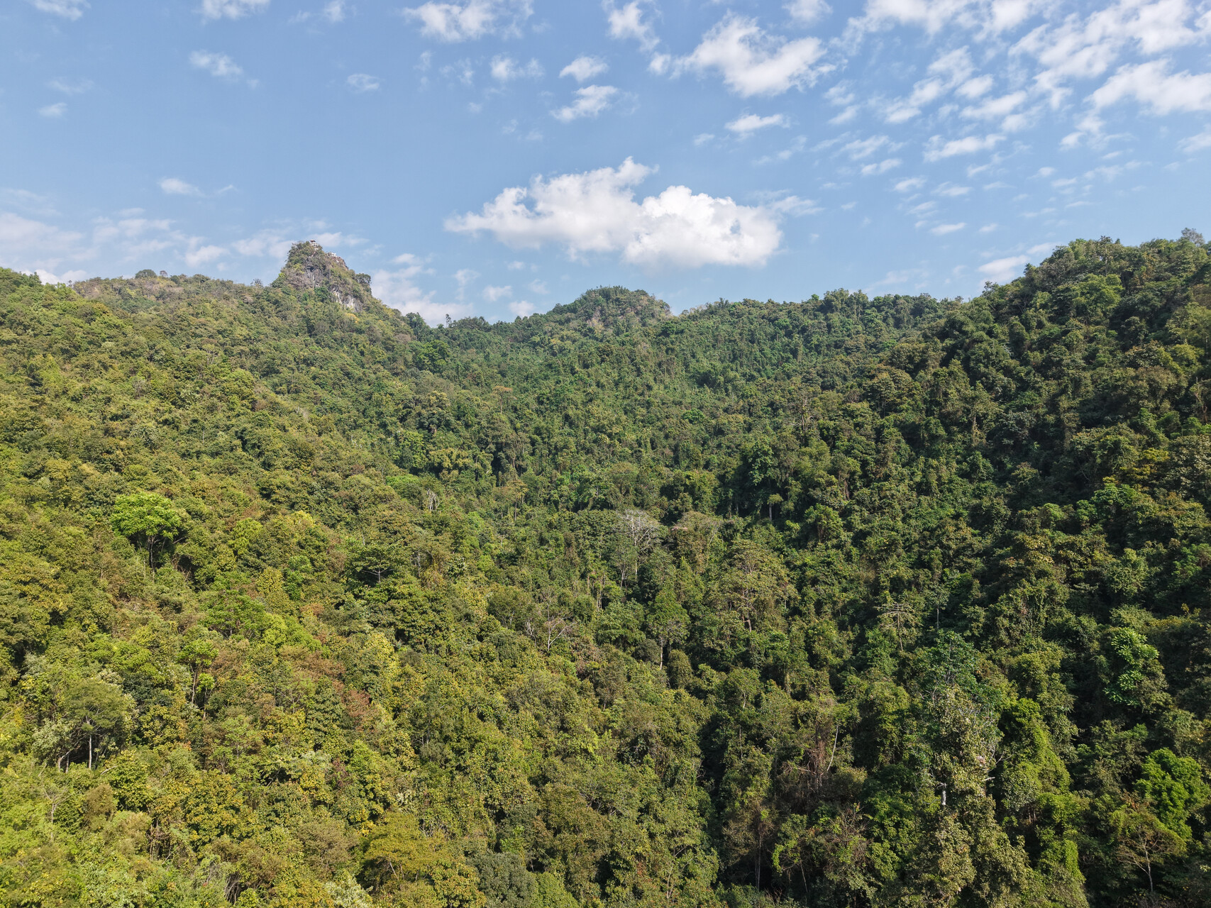 DJI_20250128144623_0014_D