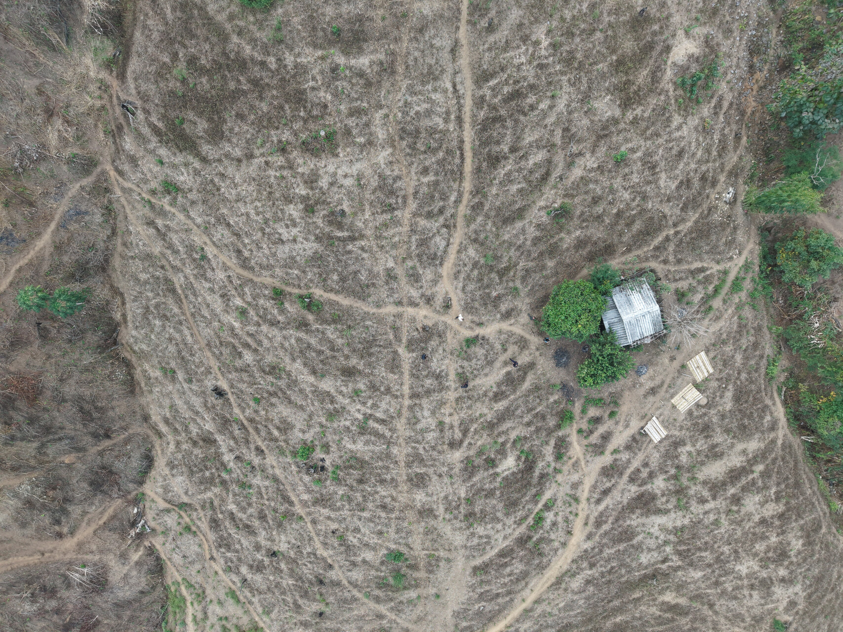 DJI_20250129112243_0102_D