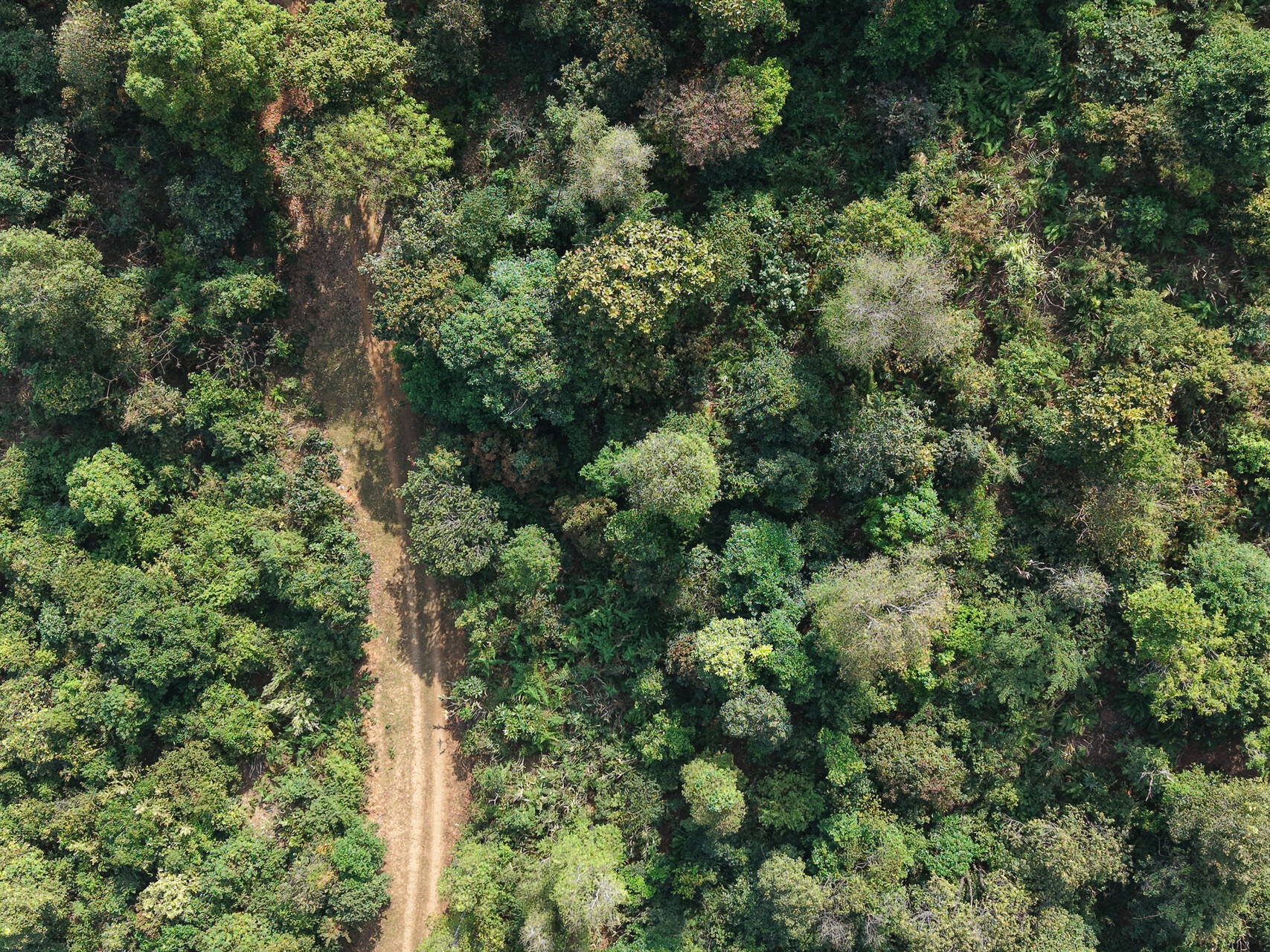 DJI_20250210111308_0101_D